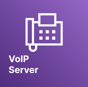 voip server