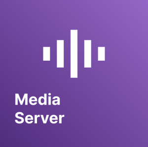 media server
